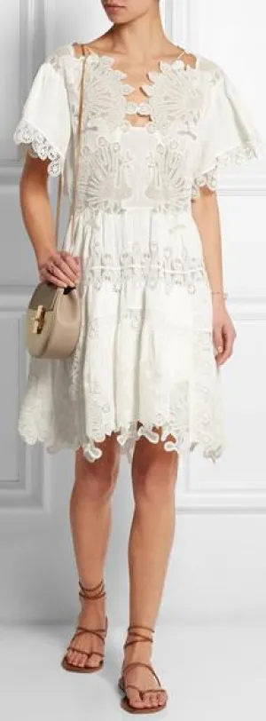 Guipure Lace and Pliss̩-Muslin Dress