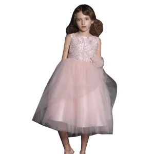 Little Girls Blush Beads Embroidery Luxurious Flower Girl Dress 2-6